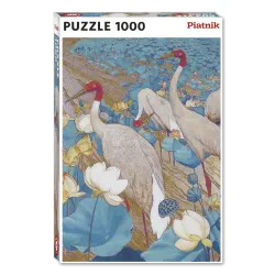 Ying Yang Plumage Birds