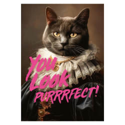 You Look Purrrfect! Cats