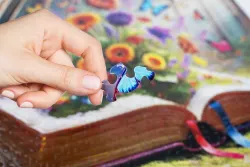 Books Brought to Life Butterflies and Insects