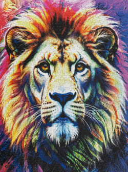 Brave Colors of a Lion Big Cats