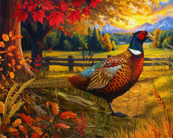 Golden Fields Pheasant Birds