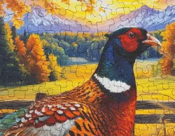 Golden Fields Pheasant Birds