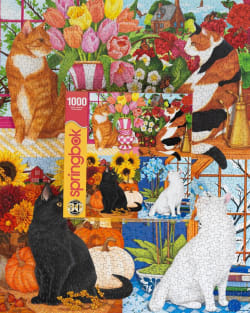 Four Seasons of Cats Cats