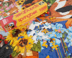 Four Seasons of Cats Cats