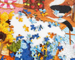 Four Seasons of Cats Cats