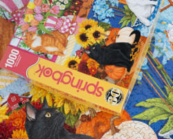 Four Seasons of Cats Cats