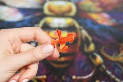 Amazing Bee Butterflies and Insects