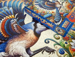 Bluejay in Summer Birds