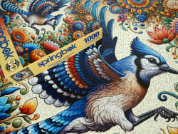 Bluejay in Summer Birds