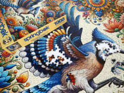 Bluejay in Summer Birds