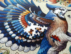 Bluejay in Summer Birds