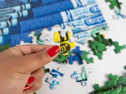 Crayola Burst of Color Quilting & Crafts