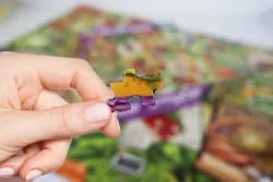 Eat Your Veggies Flower & Garden