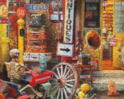 Rural Antique Shop - Scratch and Dent Nostalgic & Retro