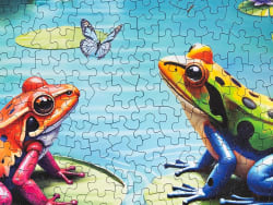 Lily Pond Paradise Reptile & Amphibian