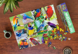 Birds of Paradise Birds