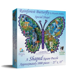 Rainforest Butterfly Butterflies and Insects