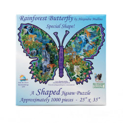 Rainforest Butterfly Butterflies and Insects