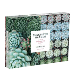 Succulent Garden Flower & Garden