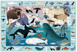 Arctic Life Search & Find Animals