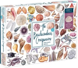 Beachcomber's Companion Summer