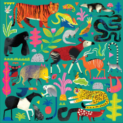 Rainforest Animals Jungle Animals