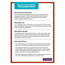 Triceratops Mini Puzzle - Scratch and Dent Dinosaurs