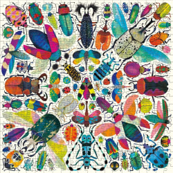Kaleido Beetles Butterflies and Insects