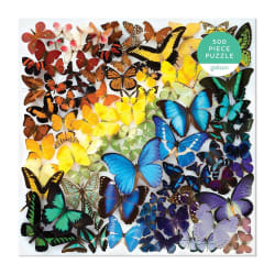 Rainbow Butterflies Butterflies and Insects