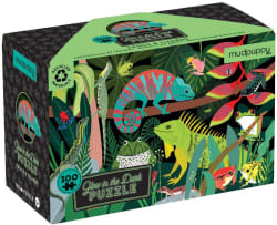 Frogs & Lizards Reptile & Amphibian