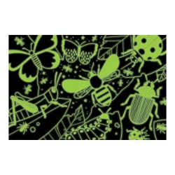 Amazing Insects Butterflies and Insects