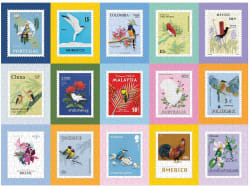 Birds of the World Birds