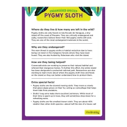 Pygmy Sloth Endangered Species Puzzle Jungle Animals