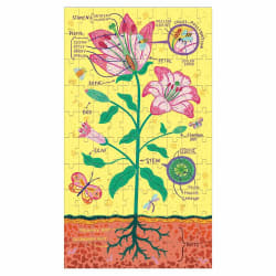 Puz Set Plant Anatomy Flower & Garden