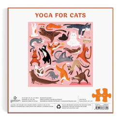 Yoga For Cats Cats