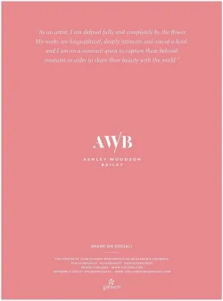 Florida Light Fine Art