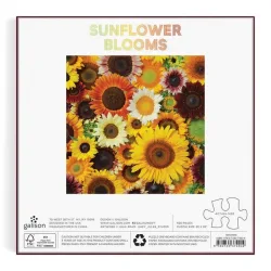 Sunflower Blooms Flower & Garden