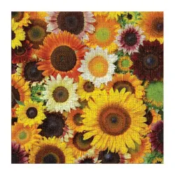 Sunflower Blooms Flower & Garden