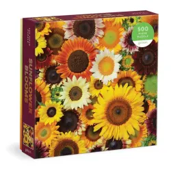 Sunflower Blooms Flower & Garden