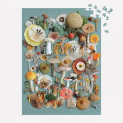 Puz 1000 Foraged Collage