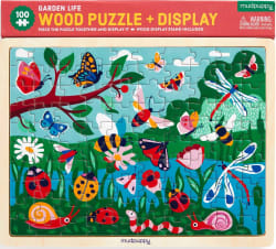 Garden Life Butterflies and Insects