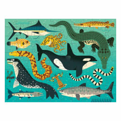 Land & Sea Predators Animals