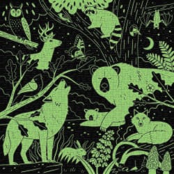 Forest Illuminated Animals