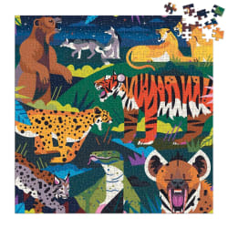 Family Predators Illuminated Animals