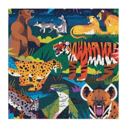 Family Predators Illuminated Animals
