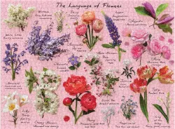 Language of Flowers Flower & Garden