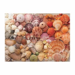 Vibrant Seashells Collage