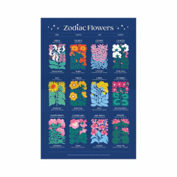 Zodiac Flowers Flower & Garden
