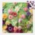 Springtime Petals  Flower & Garden Jigsaw Puzzle