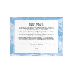 Newport Mansions Travel